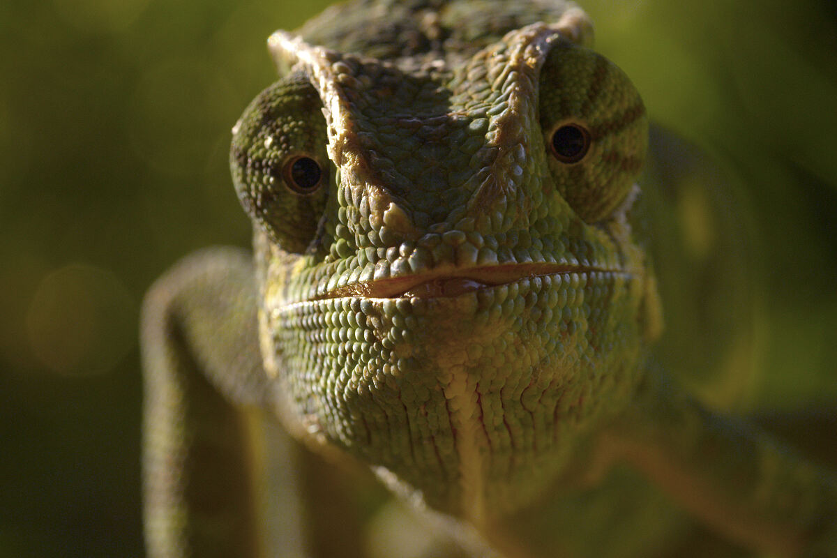 PW - 04 - Terra Mater - Eine Perle im Sand