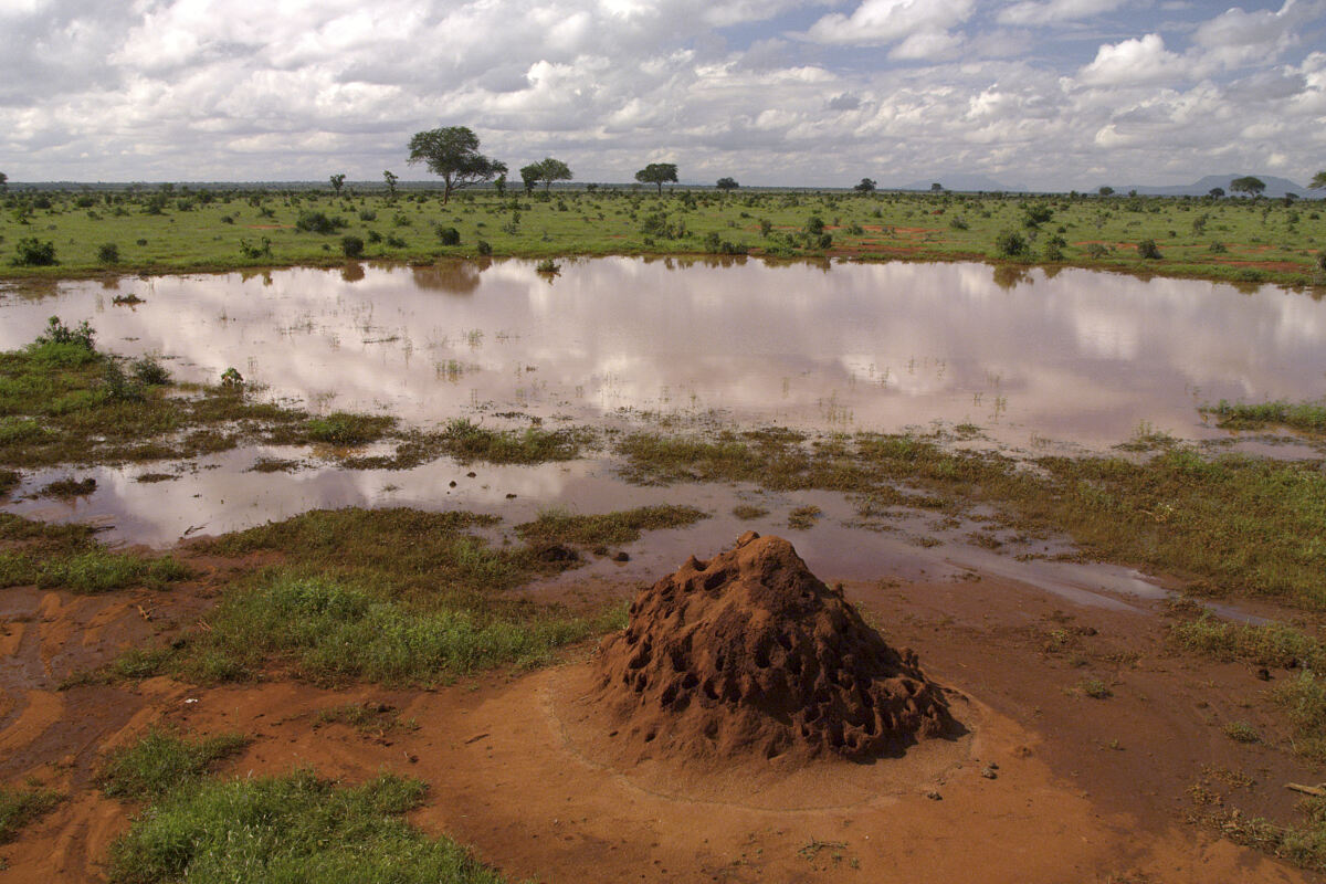 PW - 04 - Terra Mater - Eine Perle im Sand