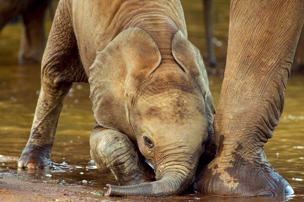 PW - 04 - Terra Mater - Eine Perle im Sand