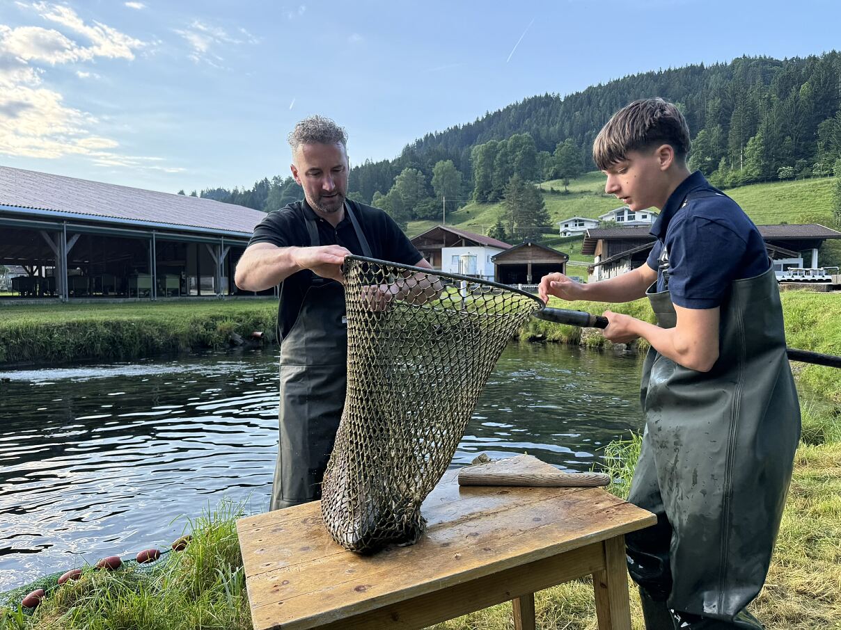 PW - 04 - Ab Hof - Dankbarkeit