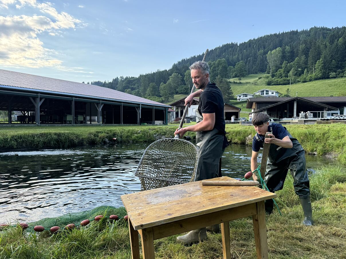 PW - 04 - Ab Hof - Dankbarkeit