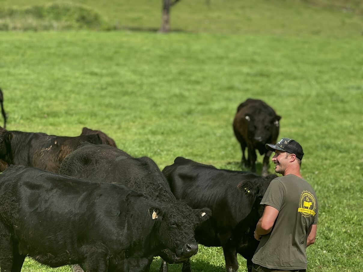 PW - 45 - Ab Hof - Ernte