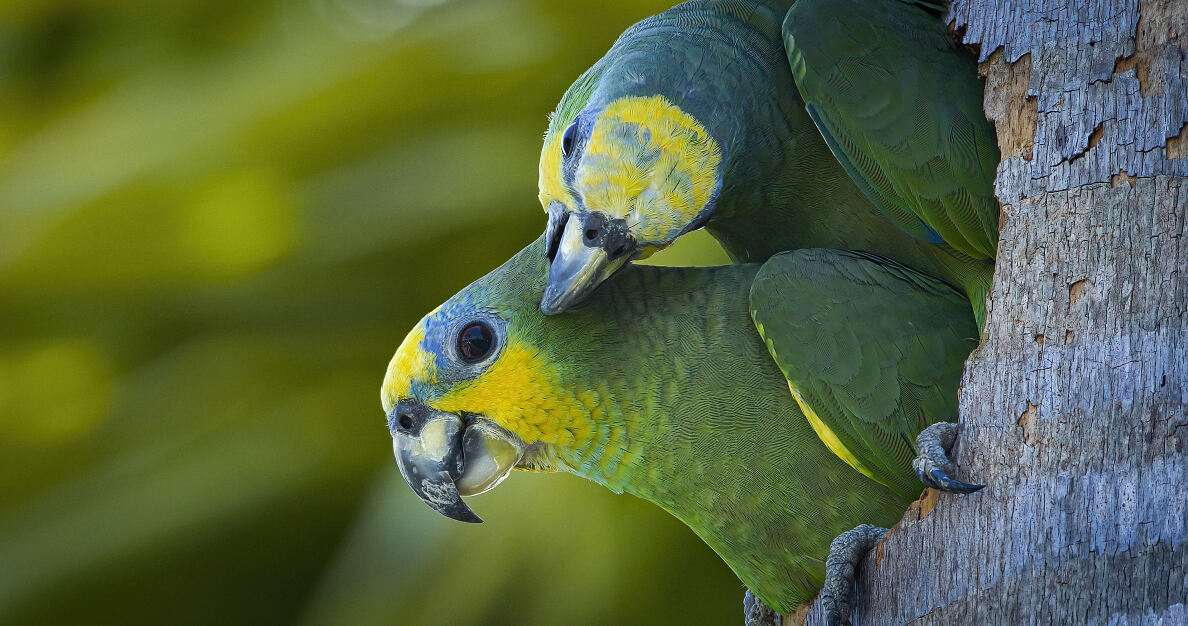 PW - 06 - Terra Mater - Treffpunkt Miami