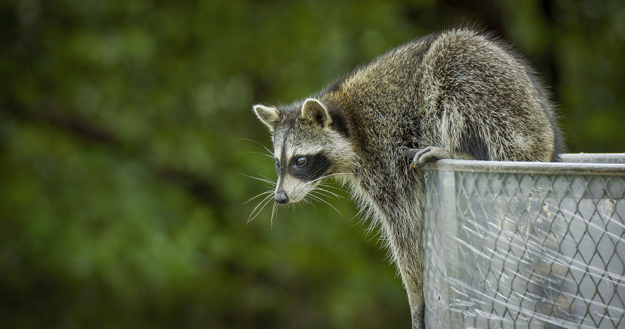 PW - 06 - Terra Mater - Treffpunkt Miami