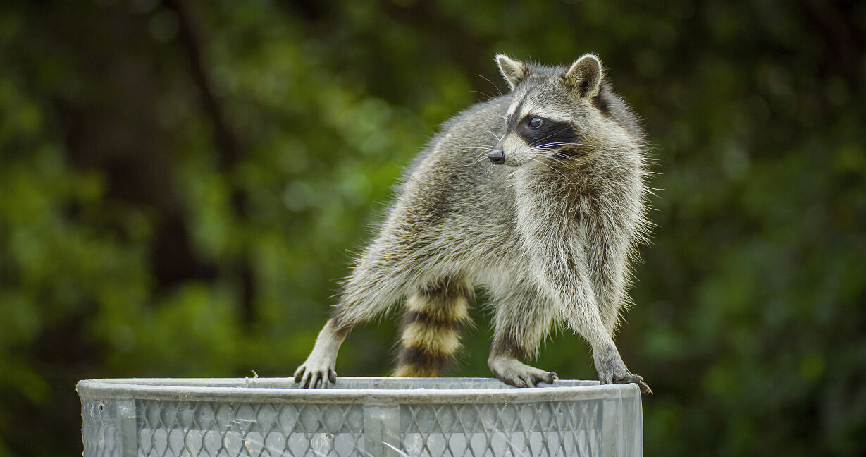 PW - 06 - Terra Mater - Treffpunkt Miami