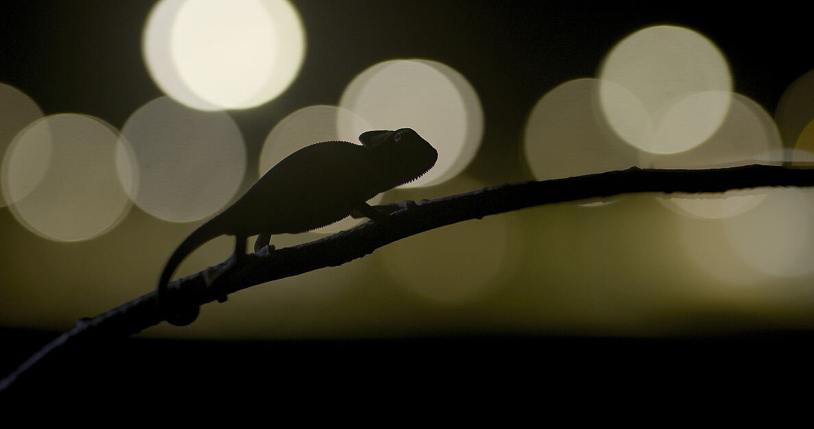 PW - 06 - Terra Mater - Treffpunkt Miami