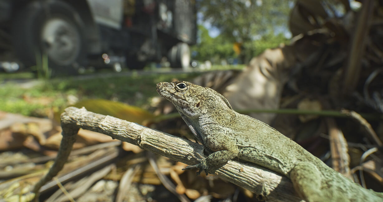 PW - 06 - Terra Mater - Treffpunkt Miami