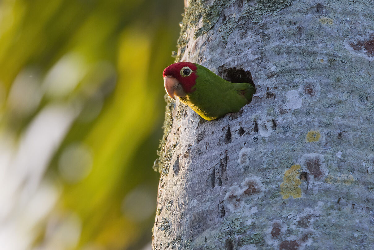 PW - 06 - Terra Mater - Treffpunkt Miami