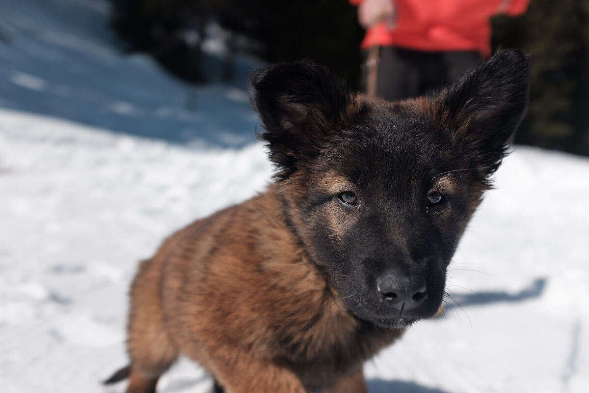 PW - 08 - Heimatleuchten - Kärntens wilder Süden