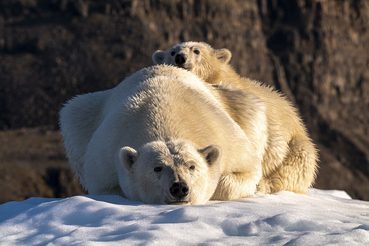 PW - 09 - Scandinavia melting