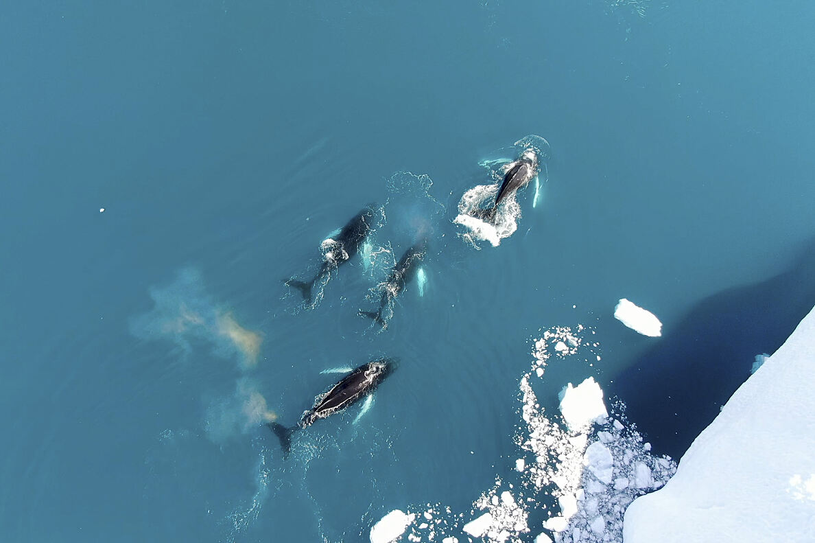 PW - 09 - Scandinavia melting