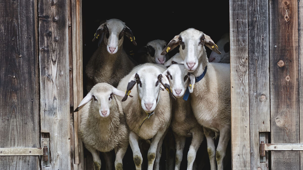PW - 07 - Heimatleuchten - Über den Wolken - Winter auf der Turrach