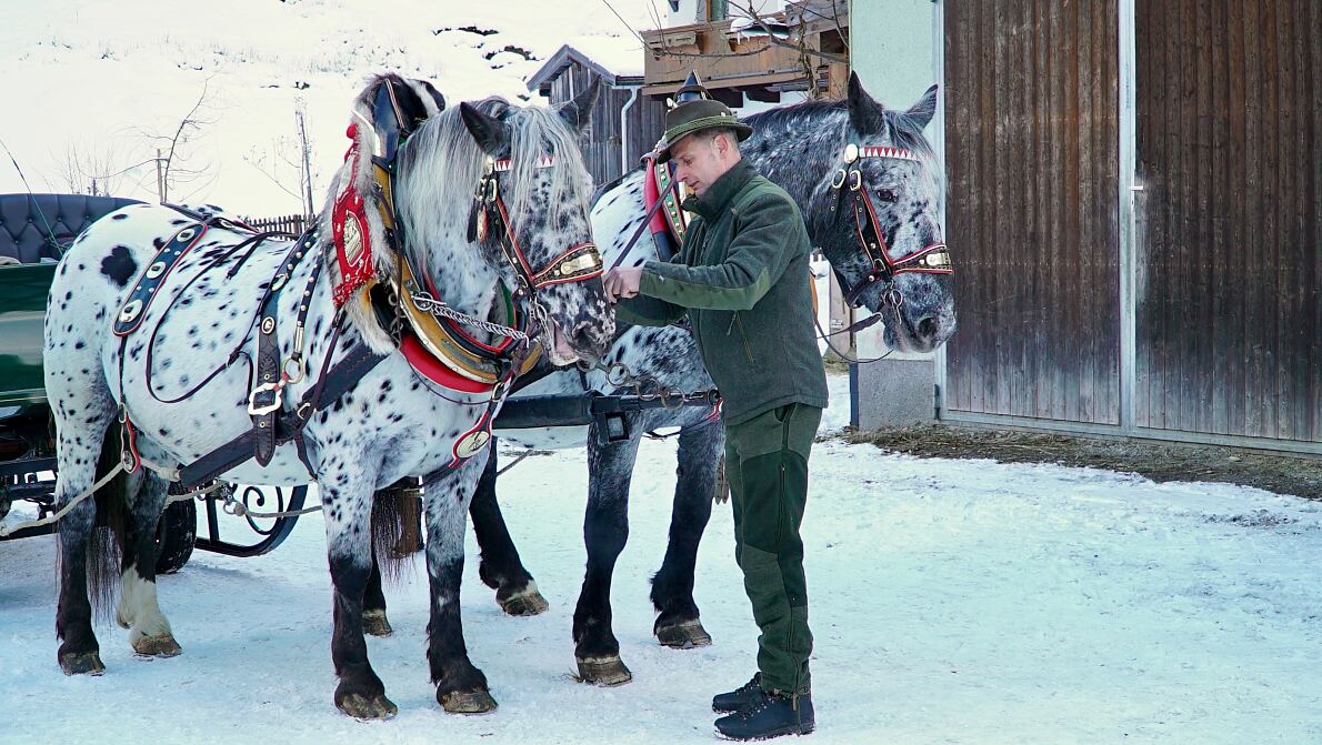 PW - 06 - Hoagascht - Blasius Schlenkerfahrt