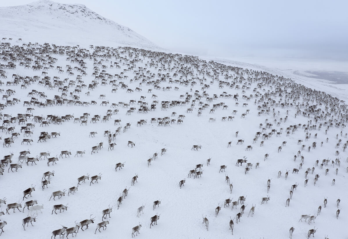 PW - 10 - Scandinavia melting