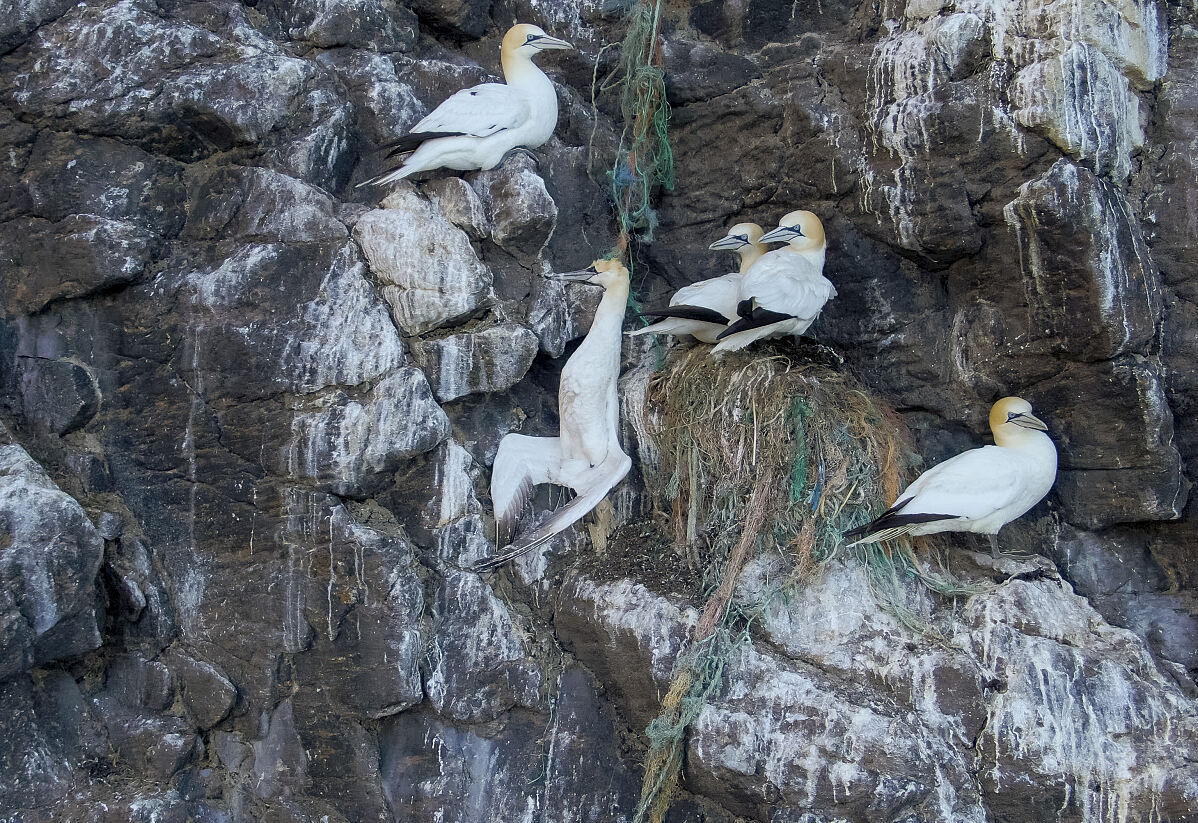 PW - 10 - Scandinavia melting