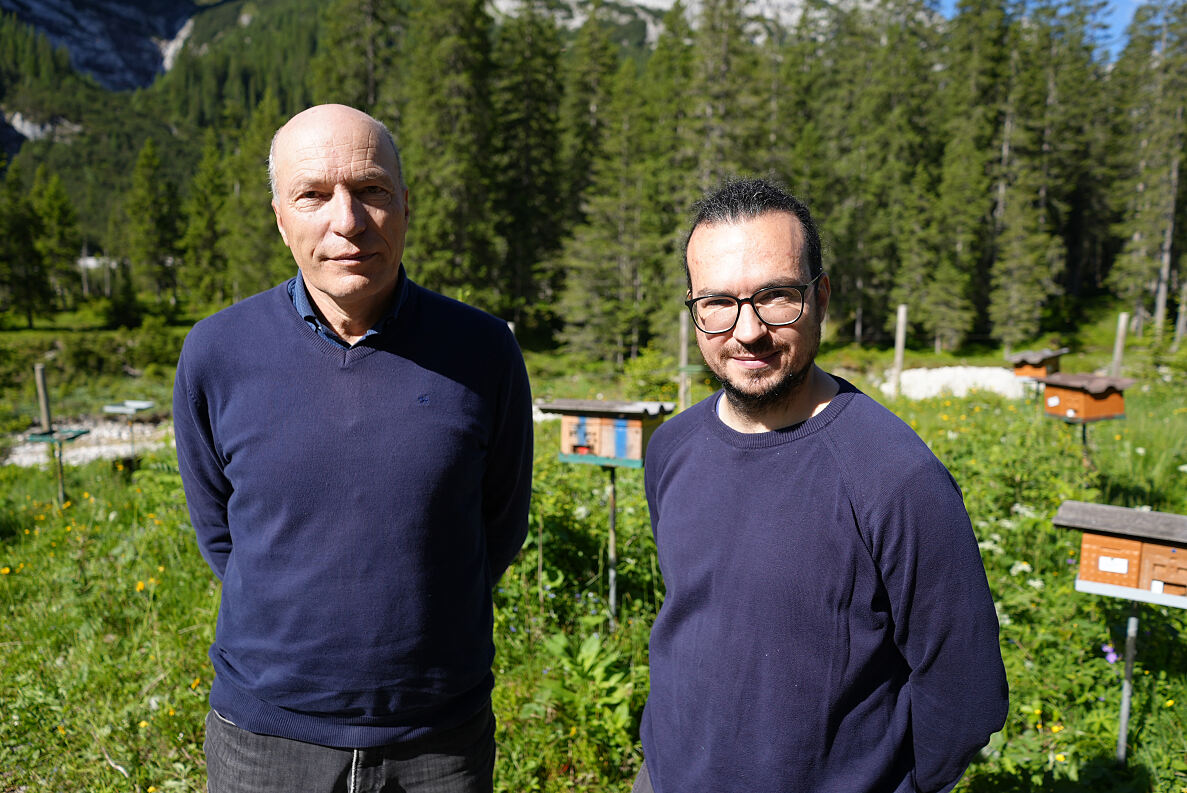 PW - 10 - Heimatleuchten - Das Inntal im Frühling