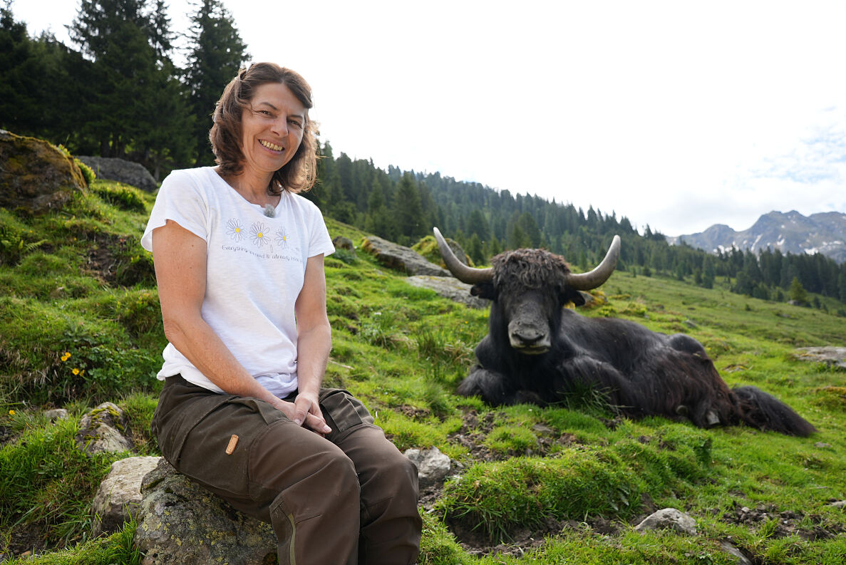 PW - 10 - Heimatleuchten - Das Inntal im Frühling