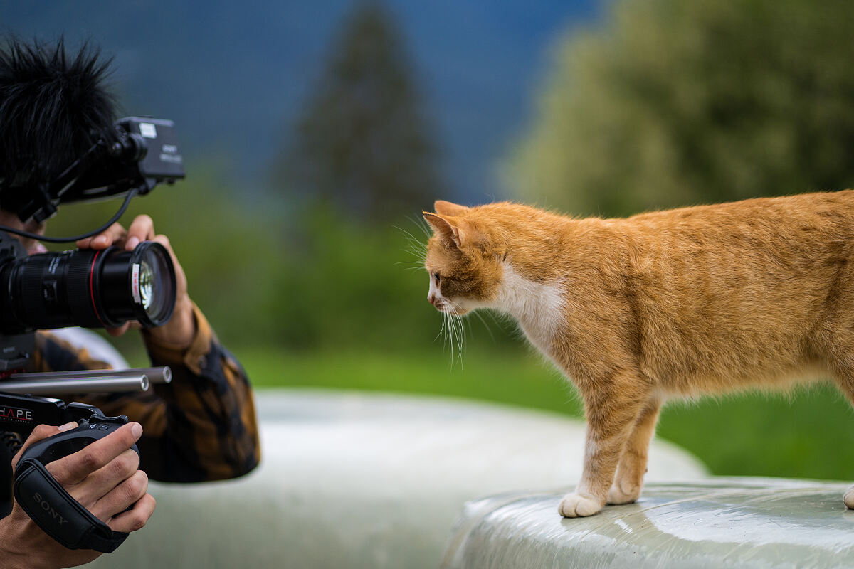 PW - 10 - Heimatleuchten - Das Inntal im Frühling