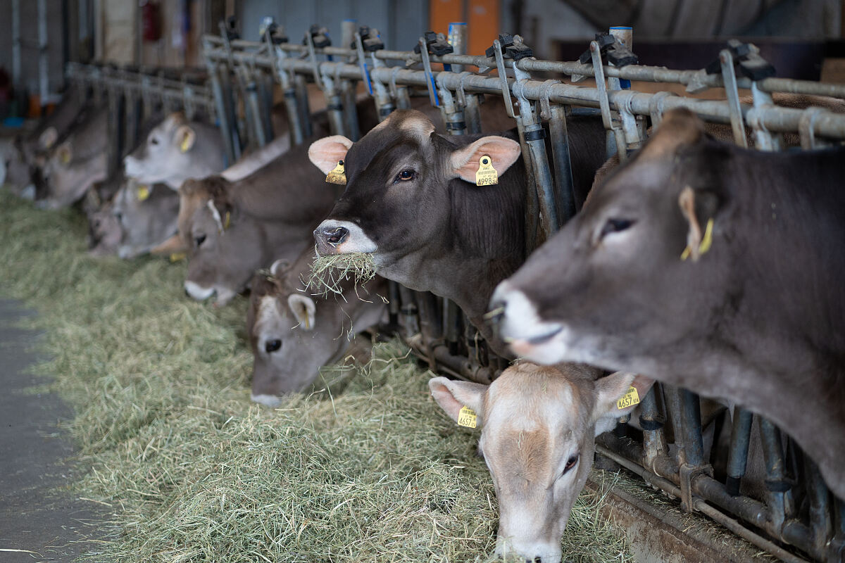 PW - 10 - Heimatleuchten - Das Inntal im Frühling