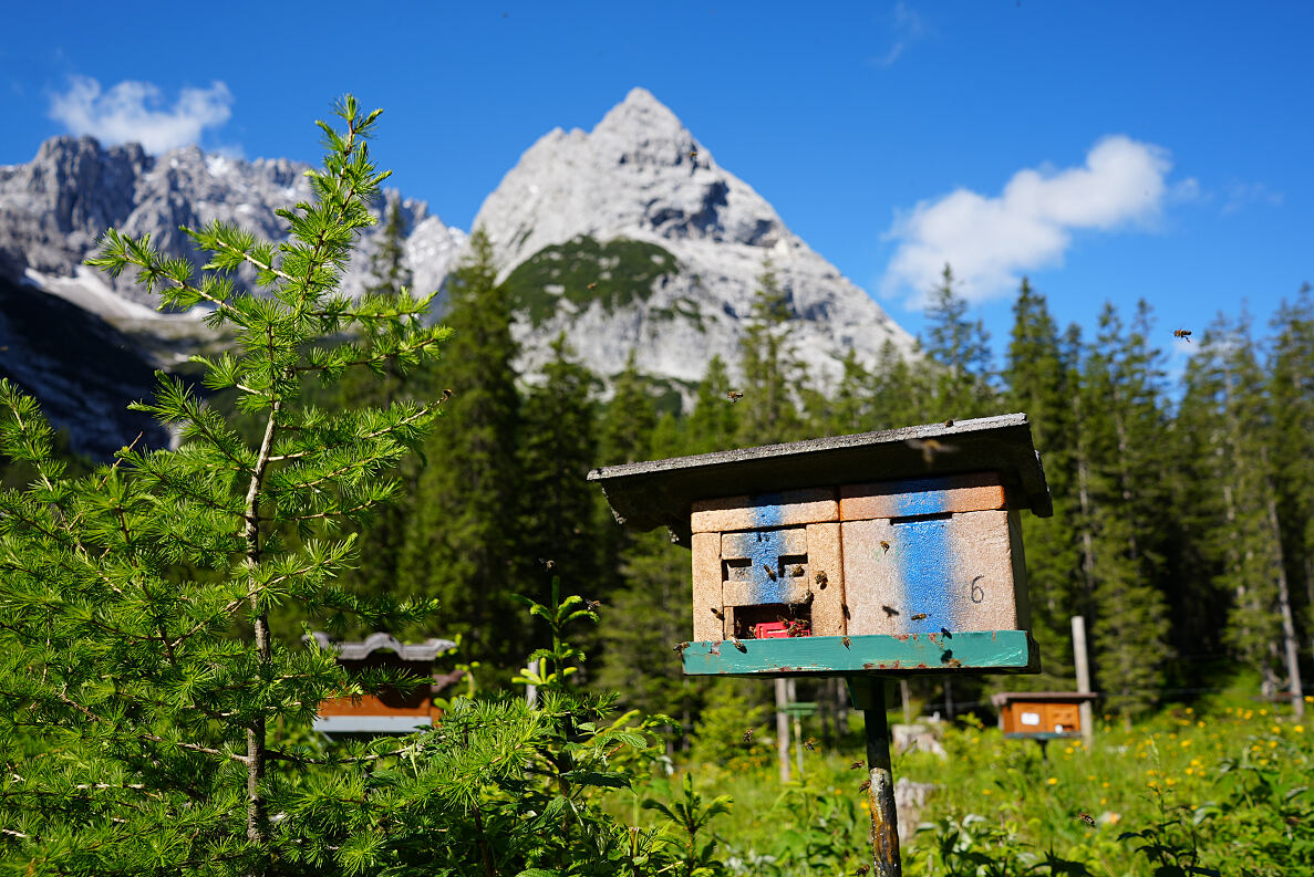 PW - 10 - Heimatleuchten - Das Inntal im Frühling