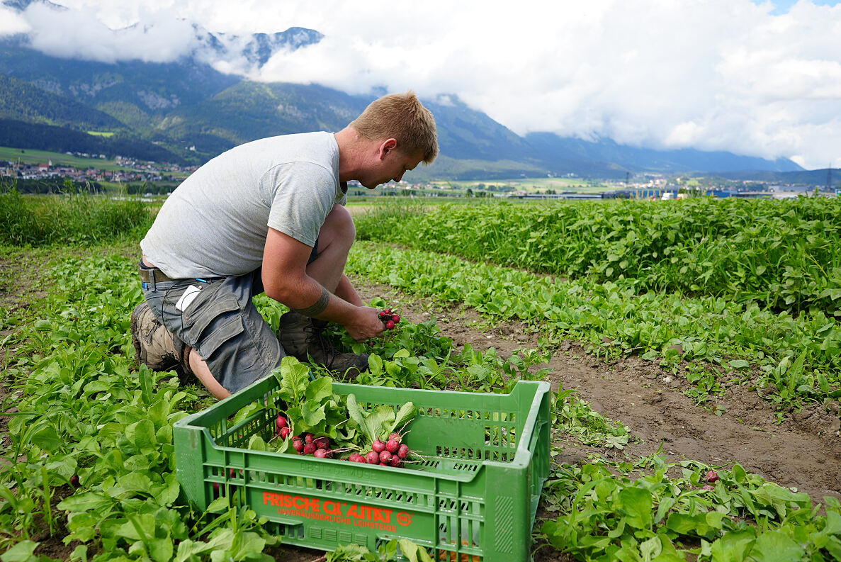 PW - 10 - Heimatleuchten - Das Inntal im Frühling