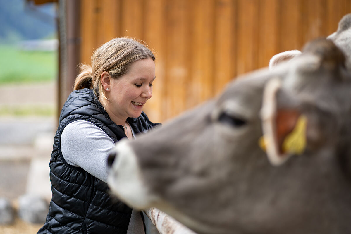 PW - 10 - Heimatleuchten - Das Inntal im Frühling