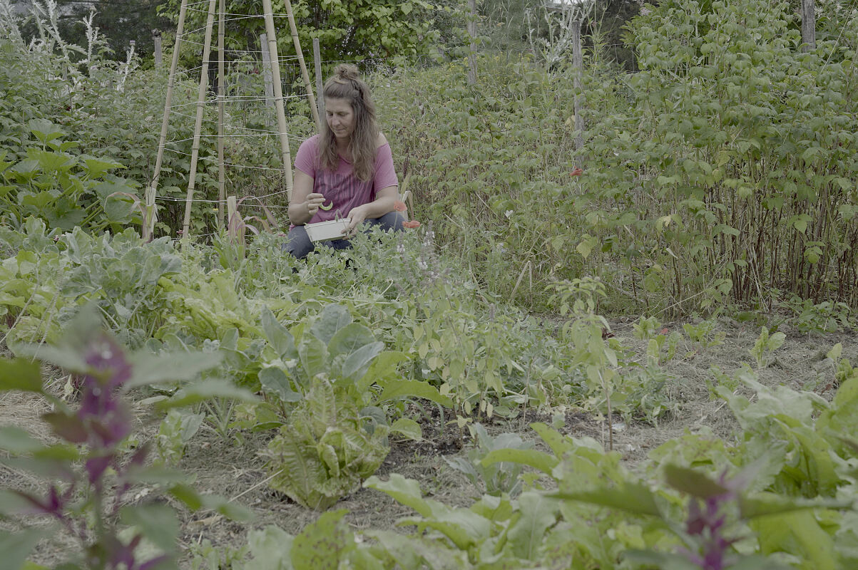 PW - 11 - Heimatleuchten - Das Südburgenland - Liebe auf den zweiten Blick