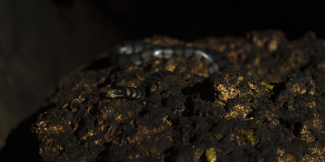 PW - 12 - Wild Philippines - Realm of Volcanoes