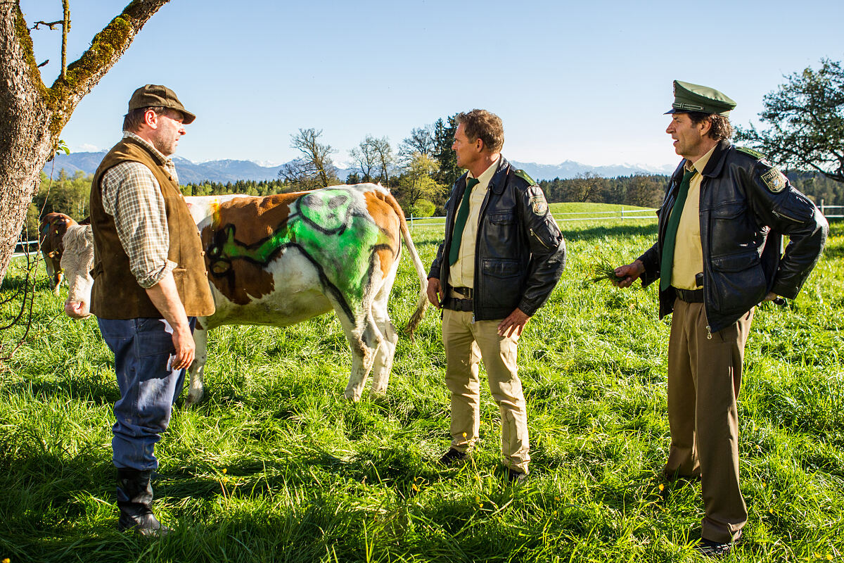 PW - 12 - Hubert und Staller - Spieglein