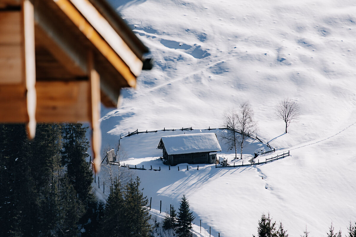 PW - 09 - Heimatleuchten - Unterwegs mit Conny Bürgler  Richard Deutinger